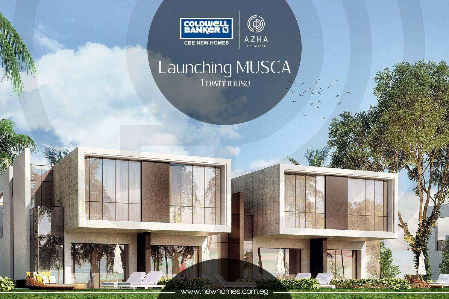 Azha | Musca إطلاق
