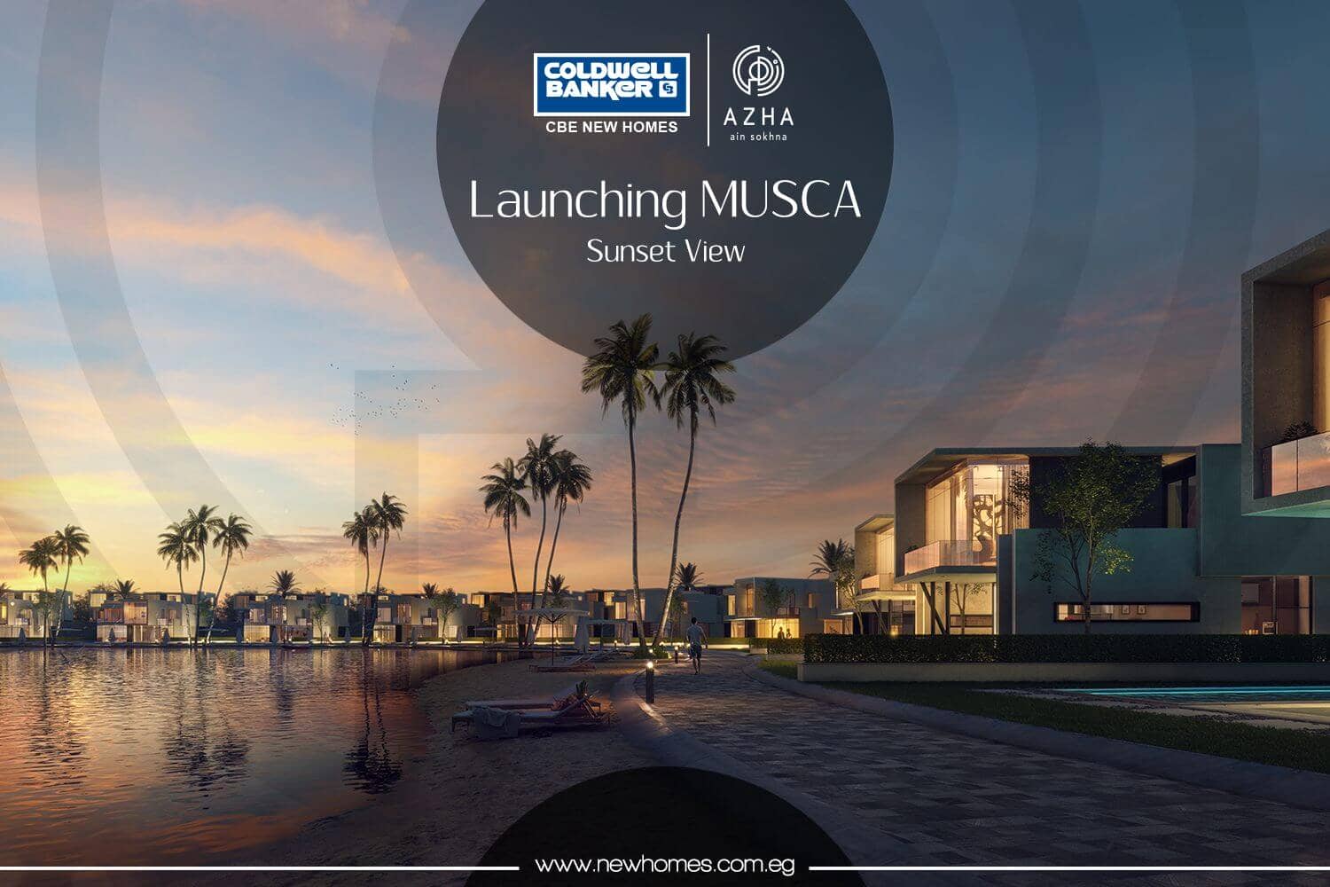 Azha | Musca إطلاق