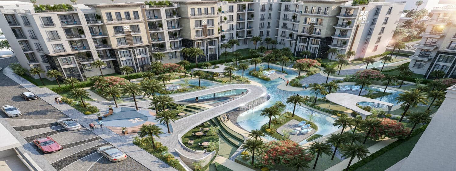 Cattleya | Phase 3
