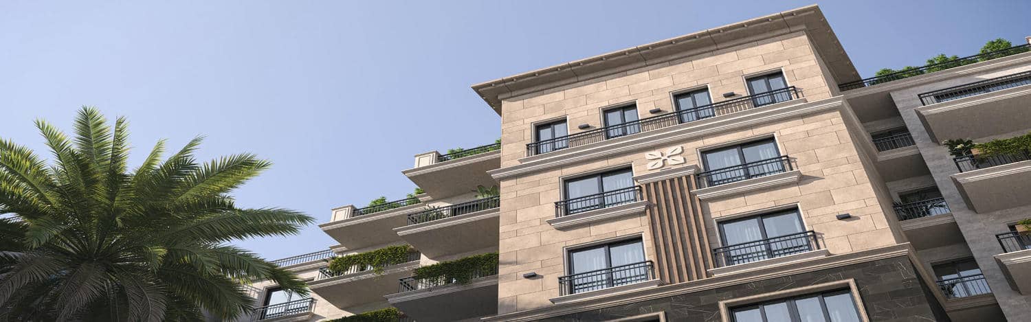 Cattleya | Phase 3