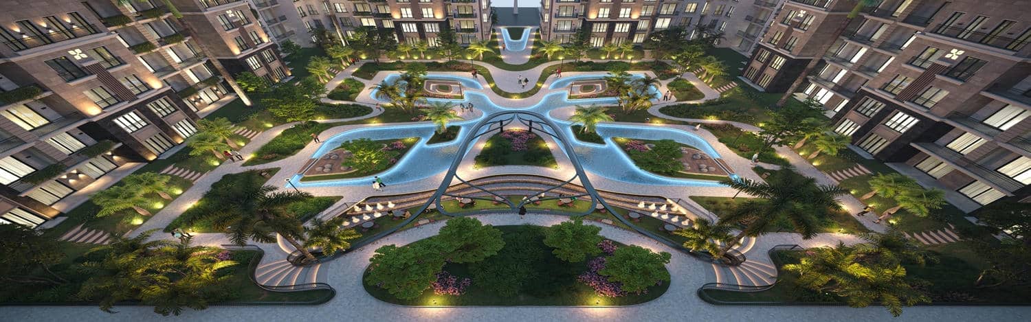 Cattleya | Phase 3