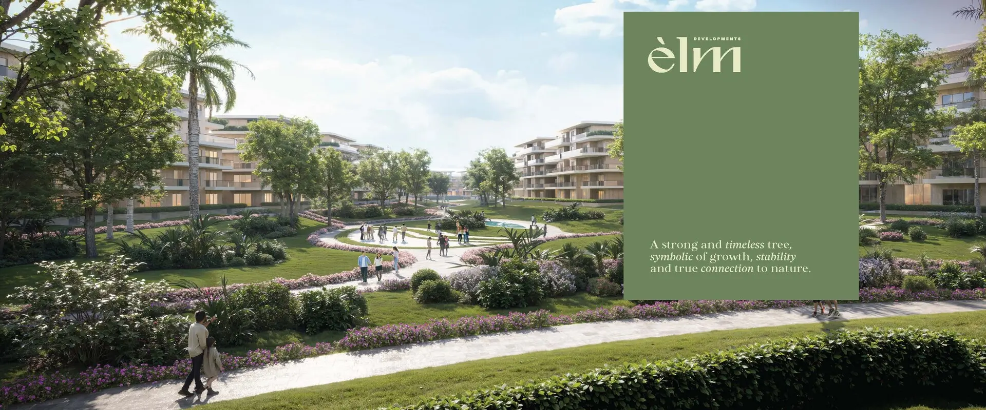 Elm Tree | Phase 1