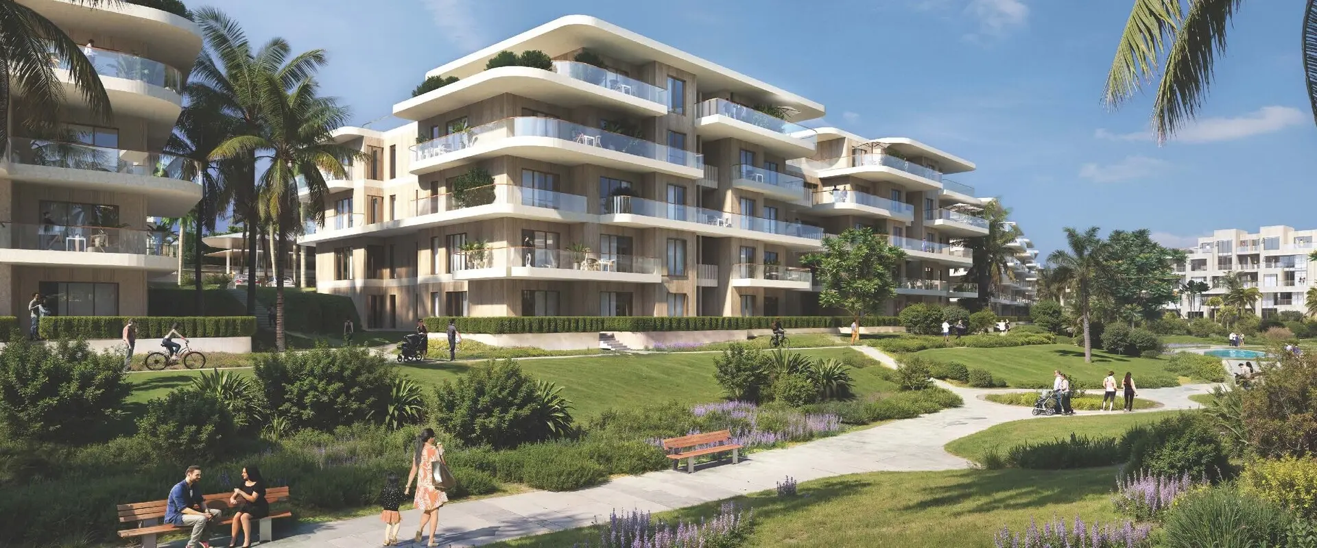 Elm Tree | Phase 1