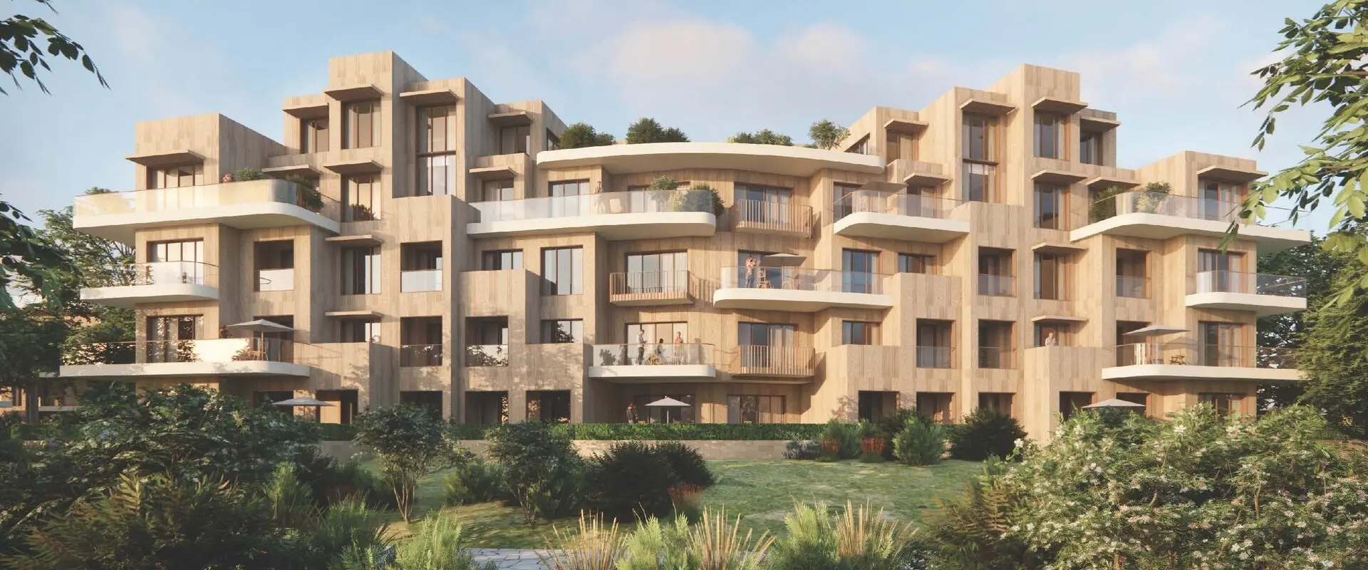 Elm Tree | Phase 1
