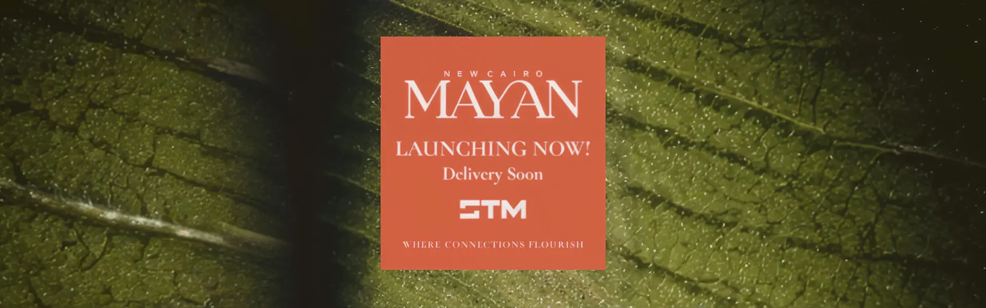 Mayan Compound New Cairo