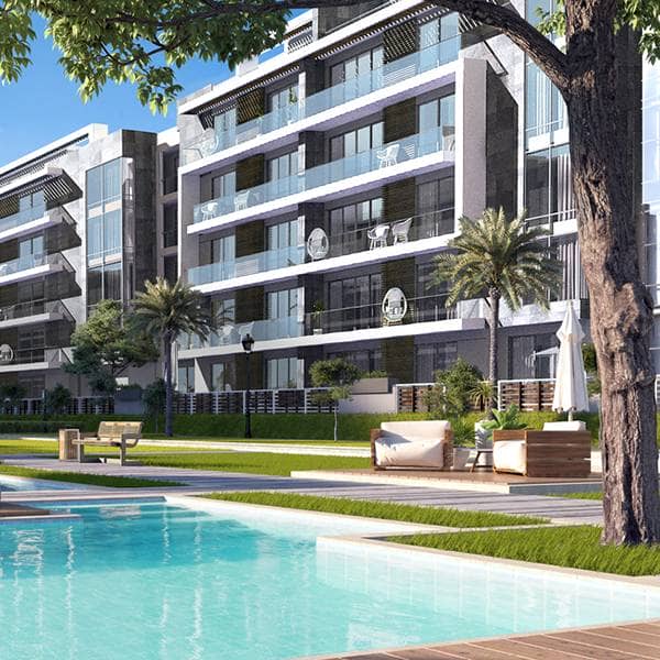 El Patio Oro | Phase 1