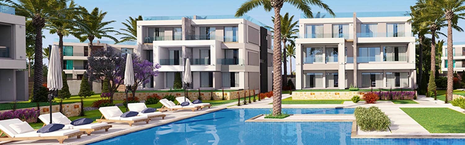 La Vista Ray | Phase 1