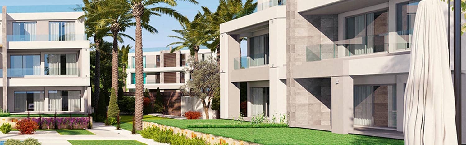 La Vista Ray | Phase 1