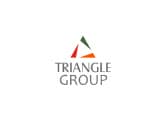 triangle group