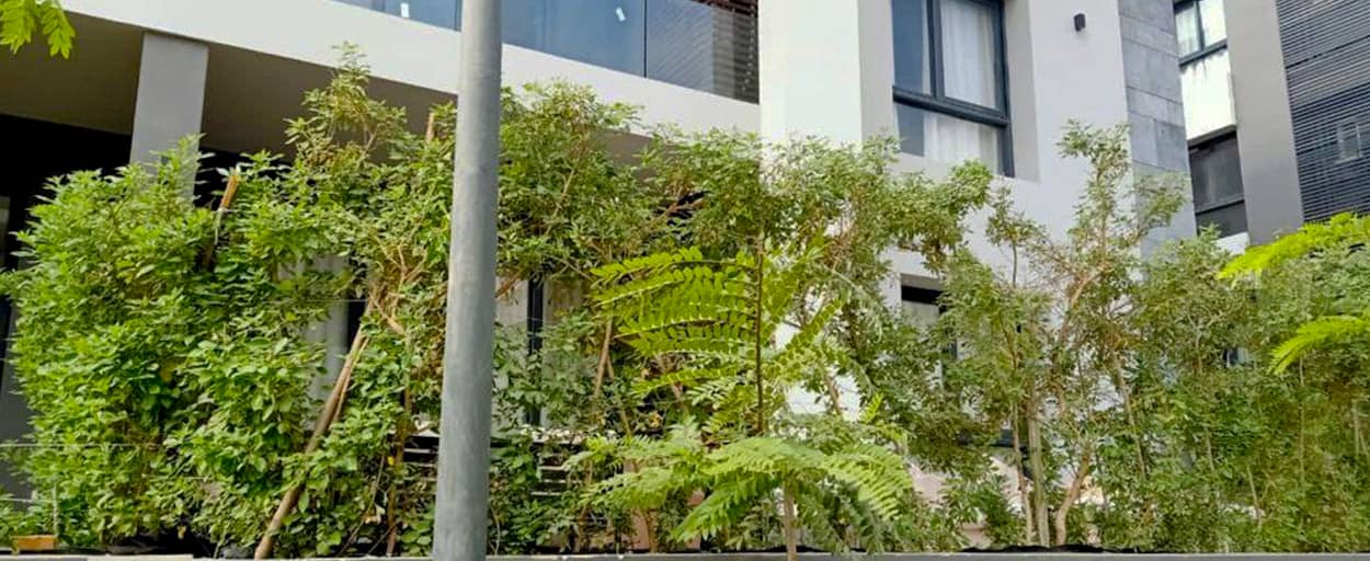 El Patio | Ground Floor