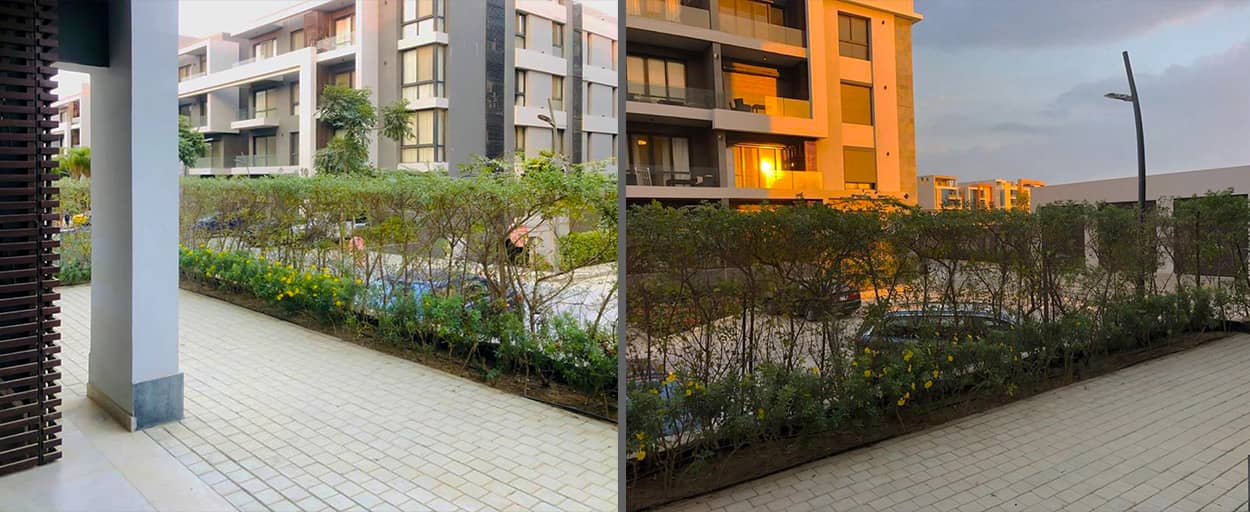 El Patio | Ground Floor