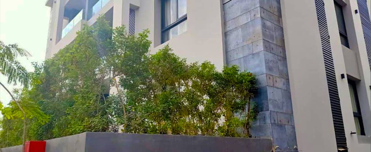 El Patio | Ground Floor