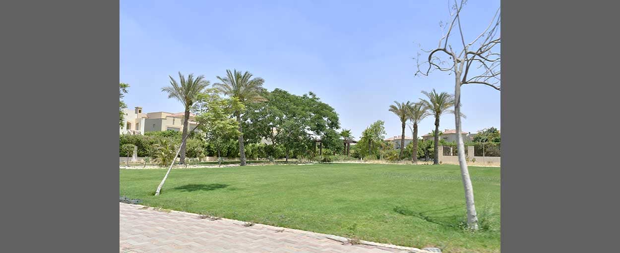 Palm Parks | Apartment