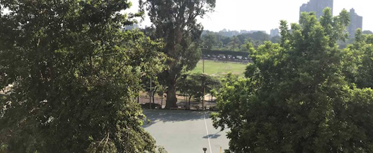 South Zamalek | شقة