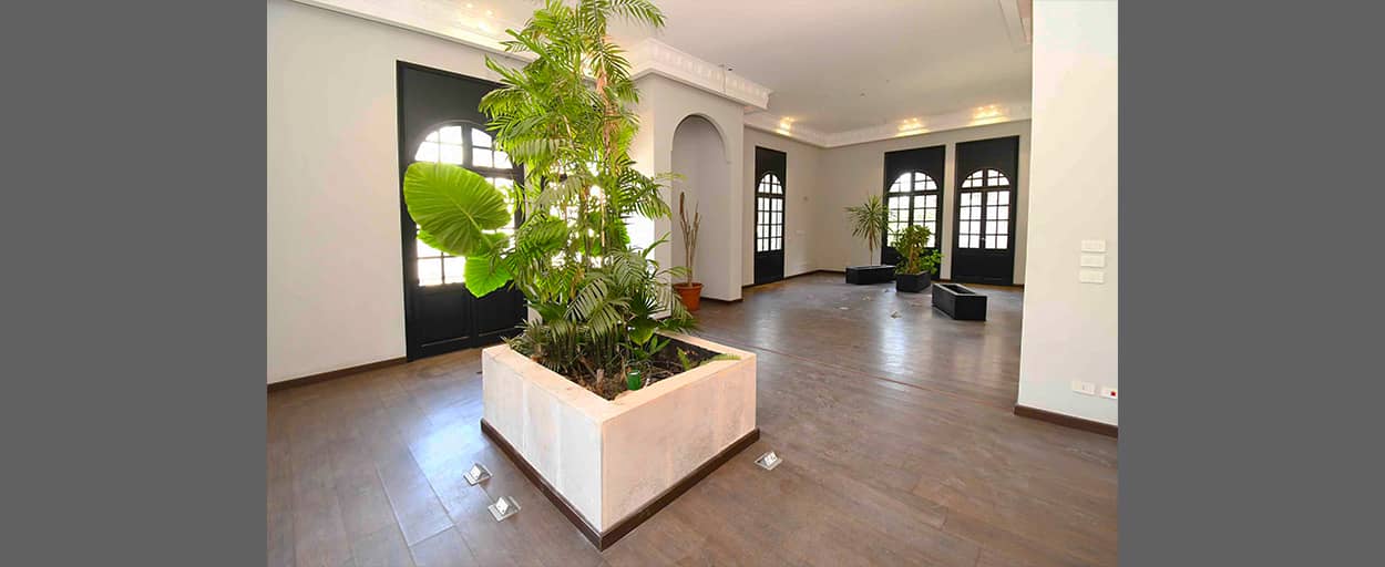  | Apartment