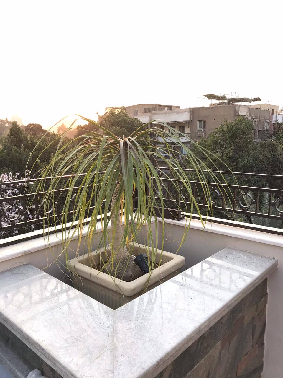 Sarayat | بنتهاوس