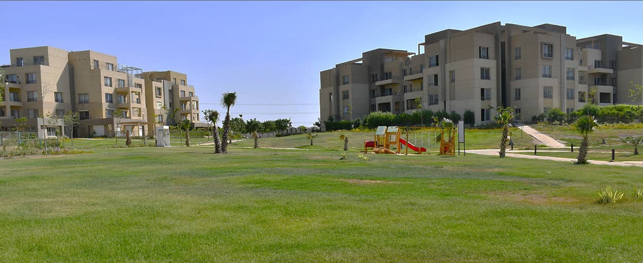 Palm Parks | Penthouse