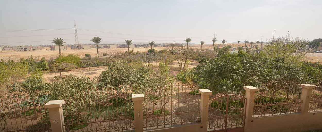  | مبنى