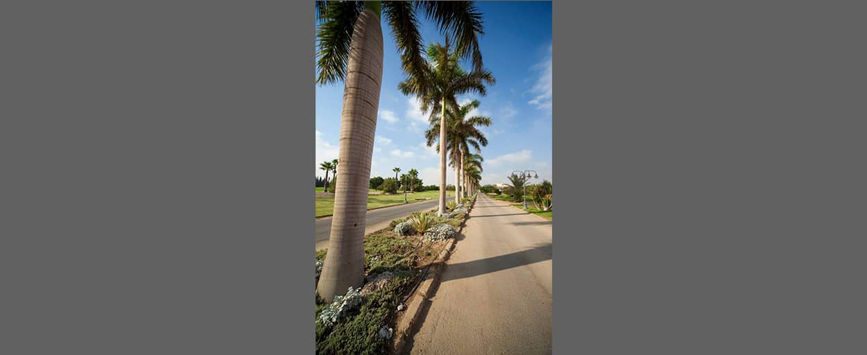Wadi El Nakhil | Villa