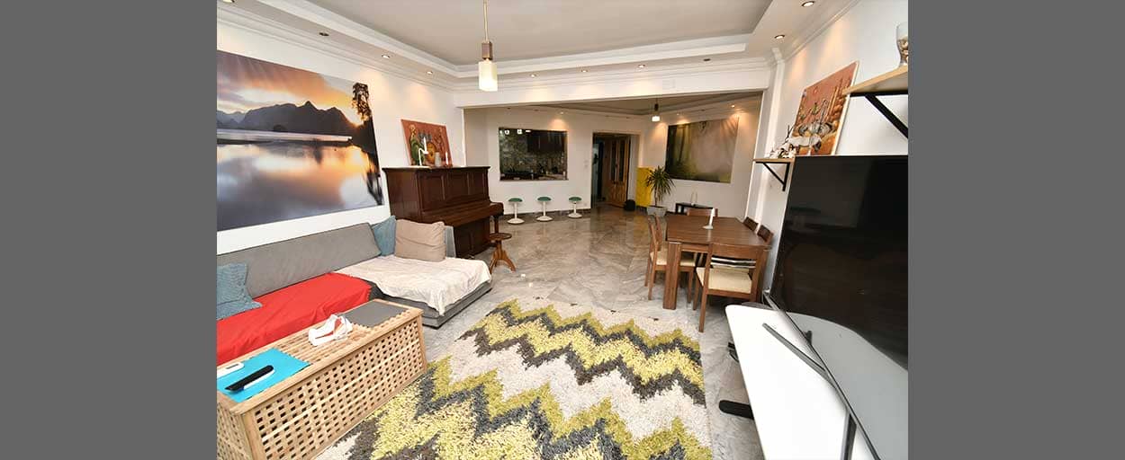 North Zamalek | Apartment