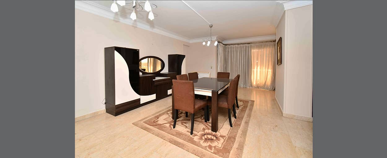 North Zamalek | Apartment