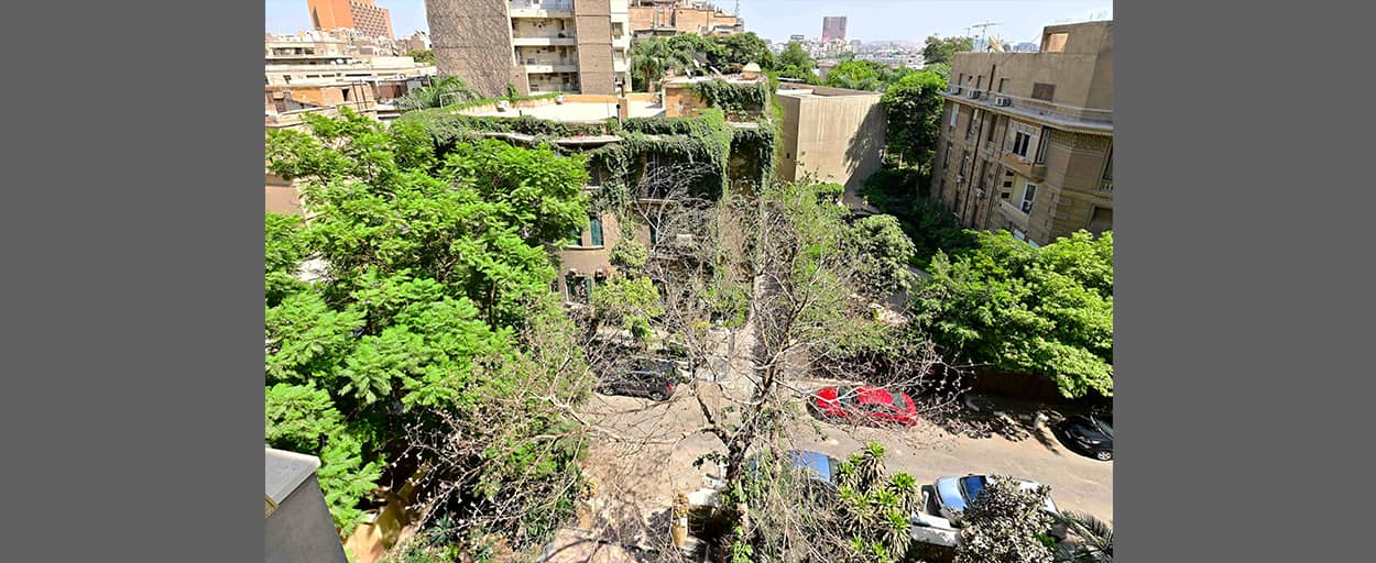 South Zamalek | Apartment