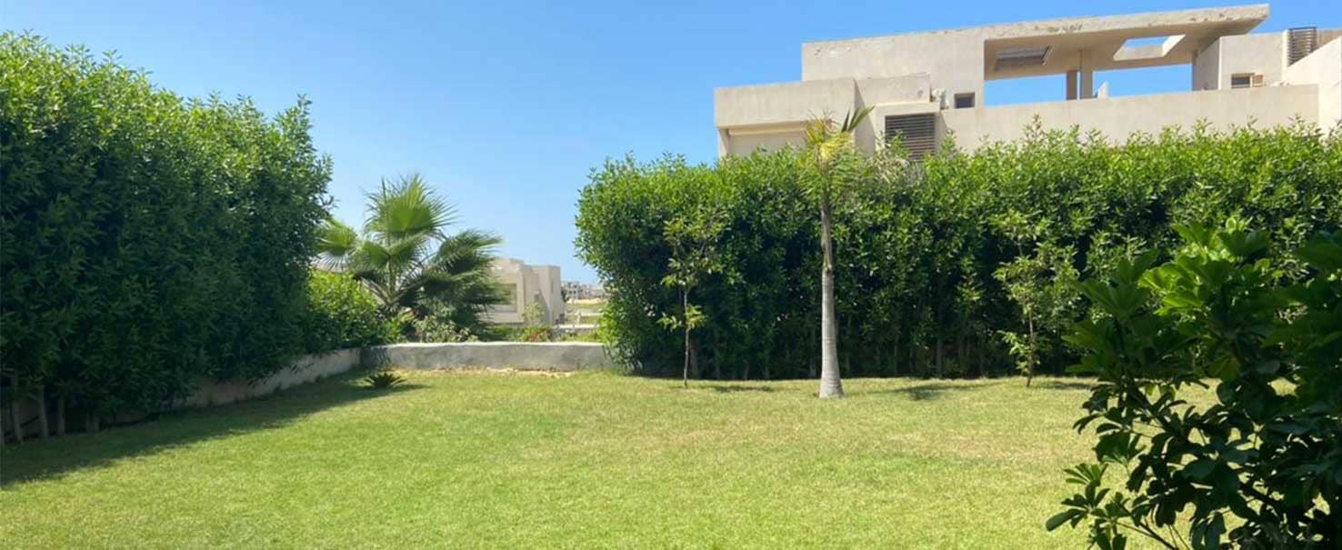 هاسيندا باي - شجرة الليمون | شاليه
