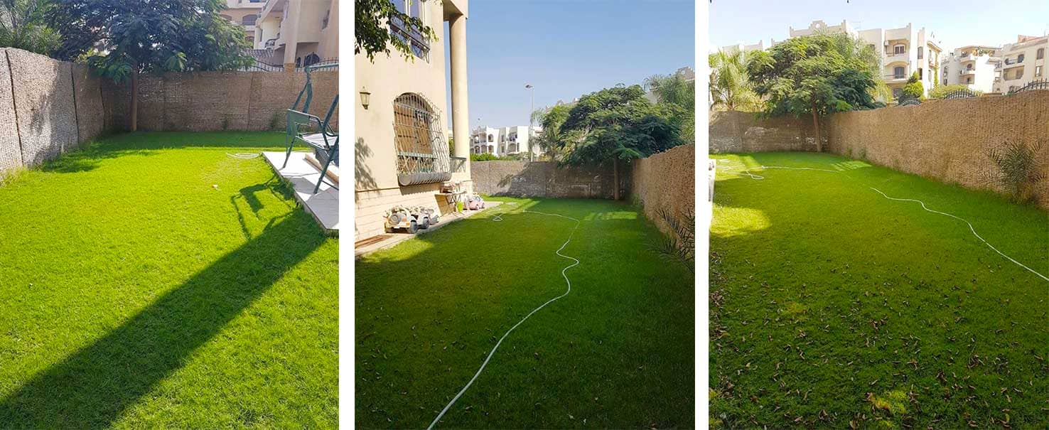 Zezeina | Duplex