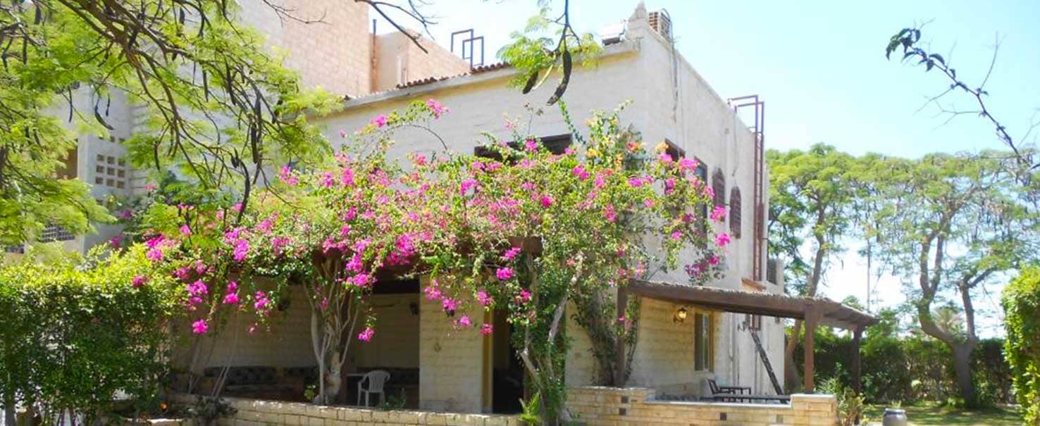  | Twin-house