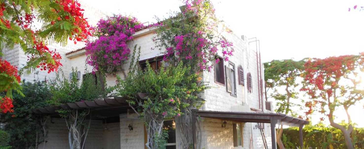 Downtown, Marina | Chalet