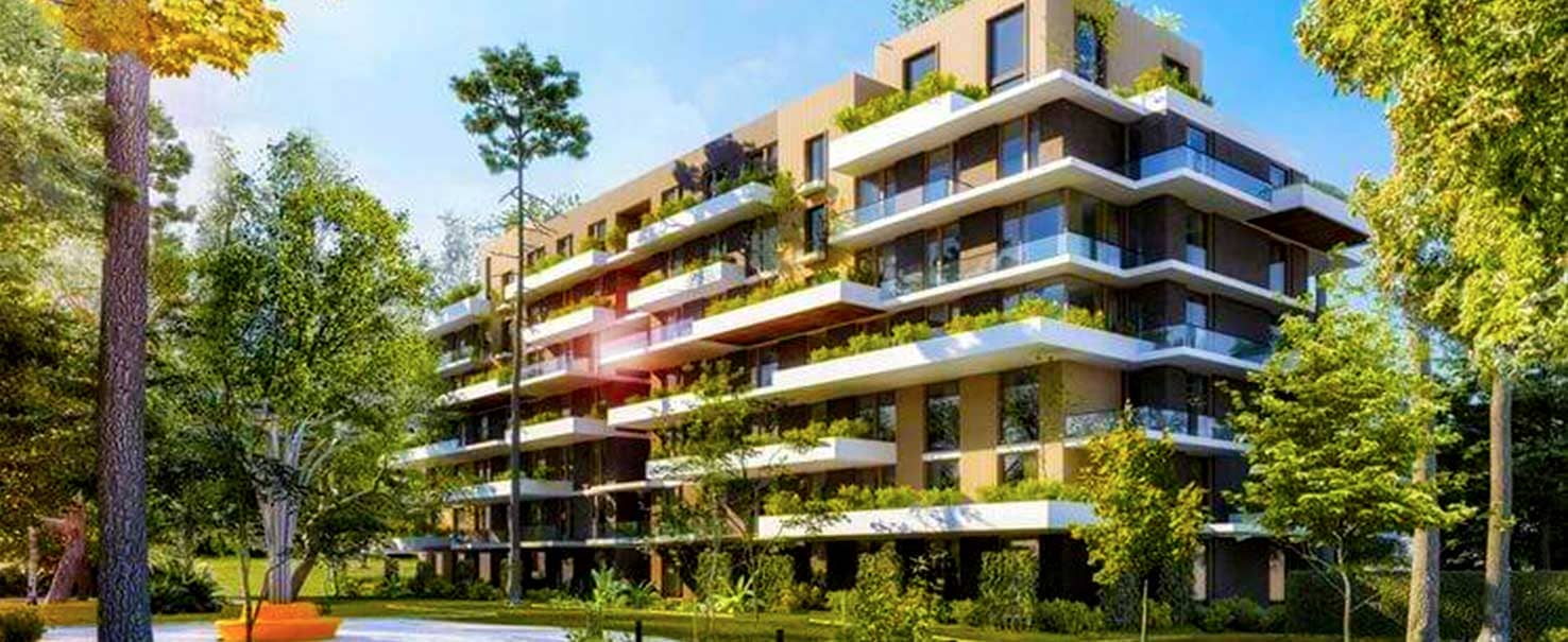 IL Bosco | Ground Floor