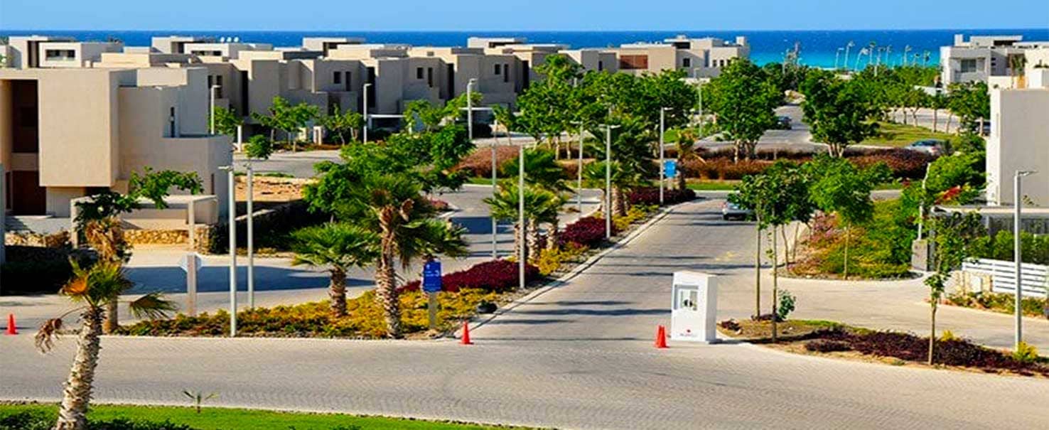 هاسيندا باي - شجرة الليمون | الطابق الأرضي