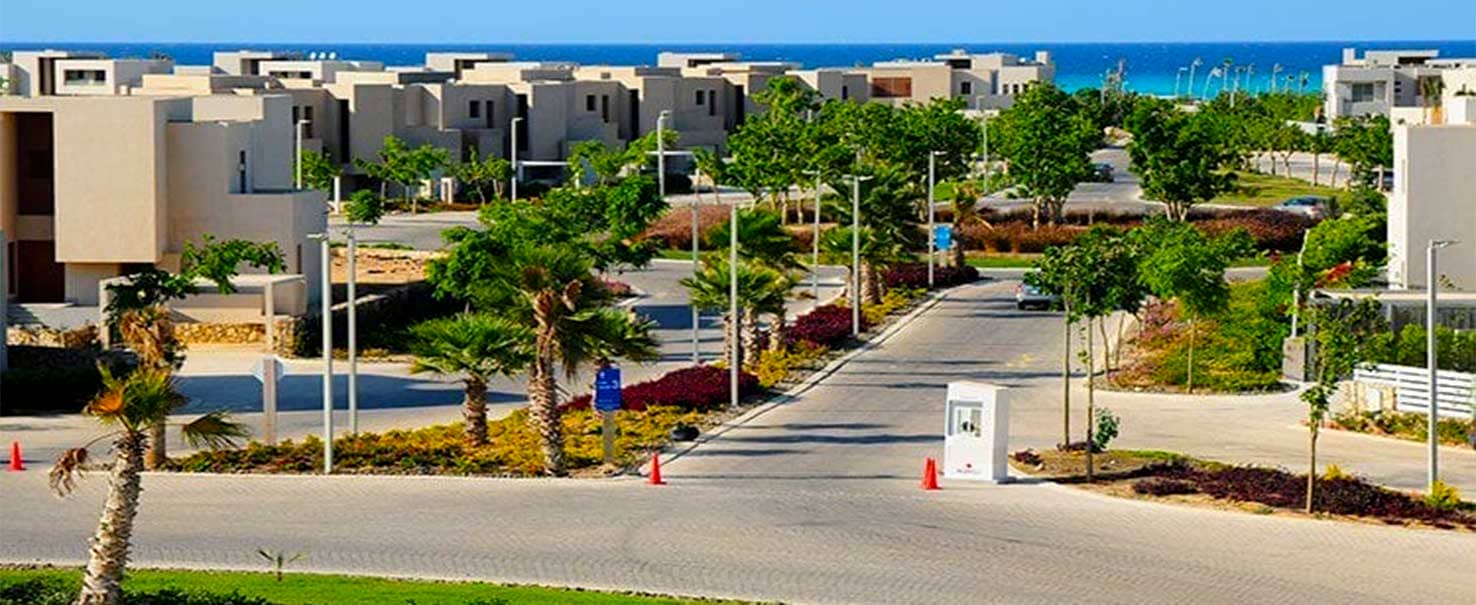 هاسيندا باي - شجرة الليمون | الطابق الأرضي