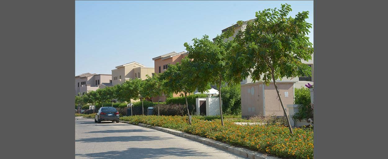 Marassi | Studio