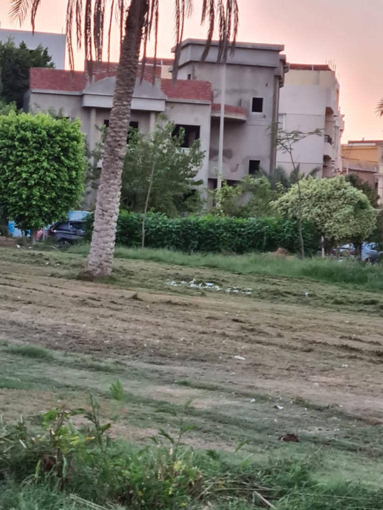El Banafseg | Villa