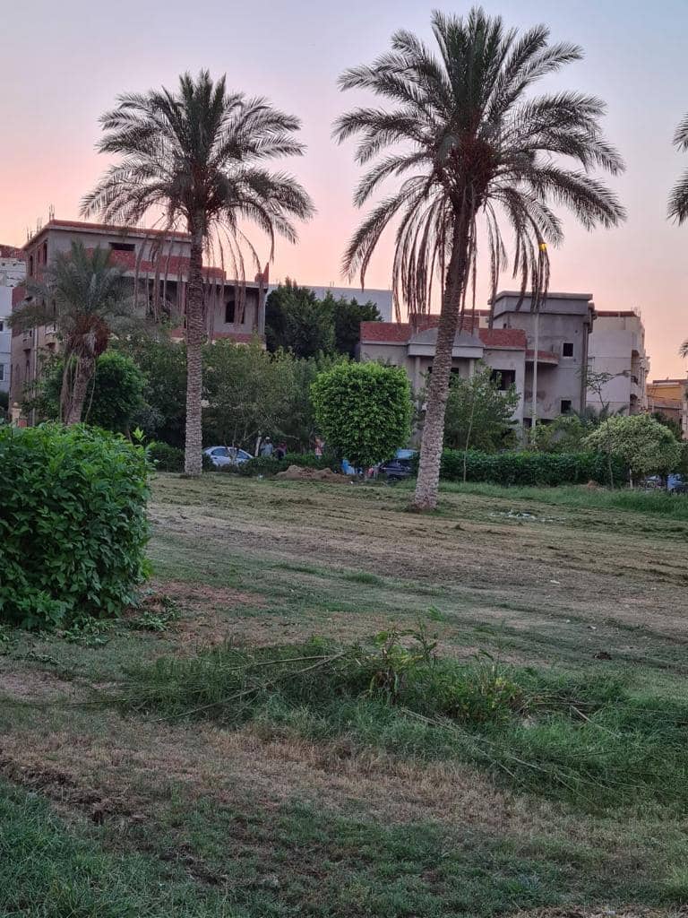 El Banafseg | Villa