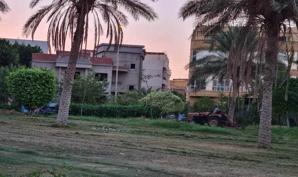 El Banafseg | Villa