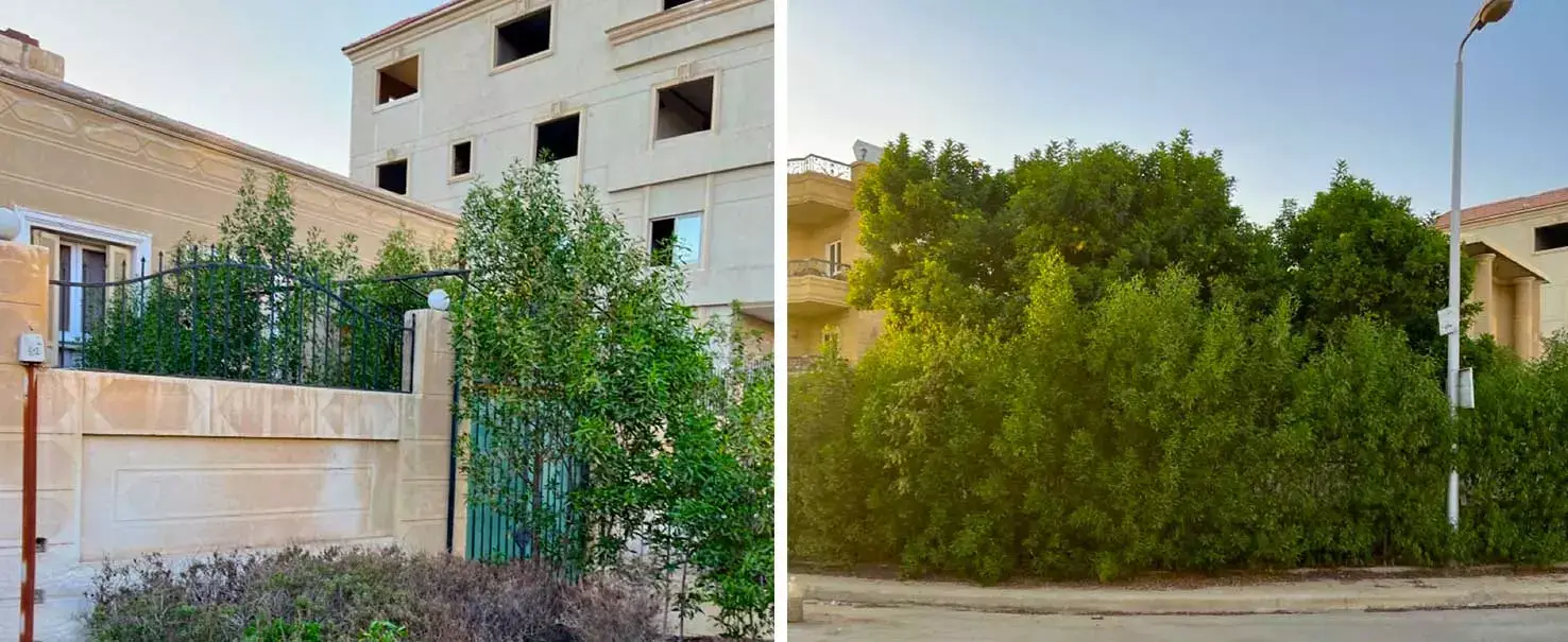 أكاديمية الجنوب | فيلا