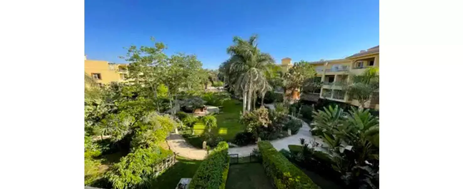 City View | Duplex