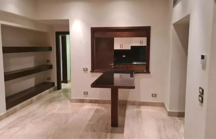 North Zamalek | Apartment