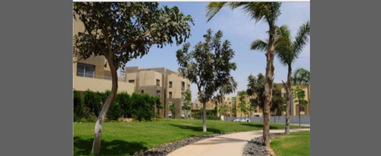 Palm Parks | Penthouse