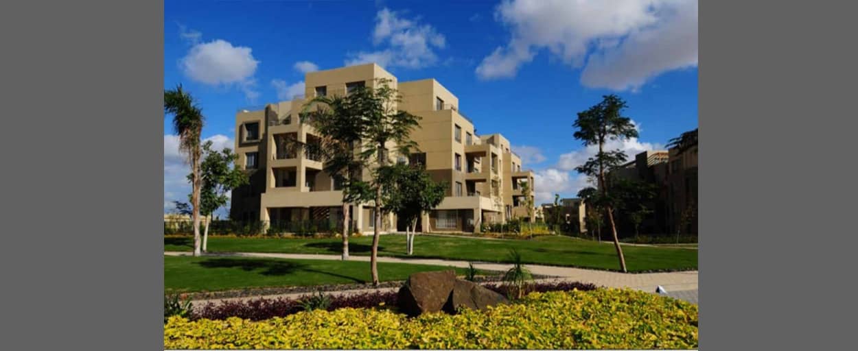 Palm Parks | Penthouse