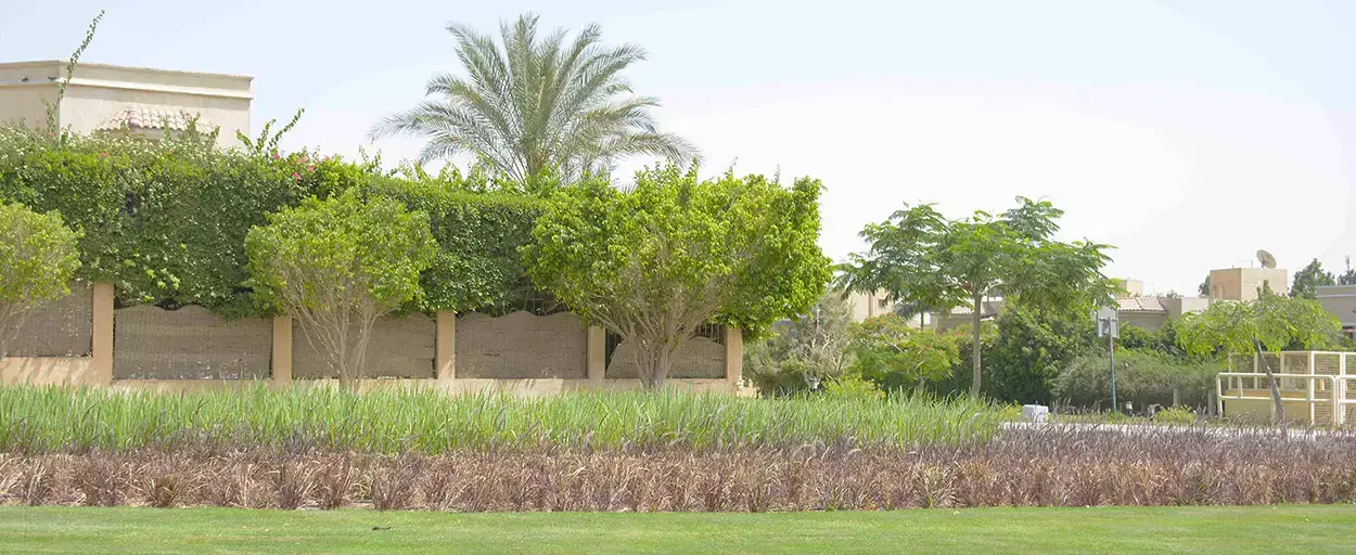 Westown Residential | Apartment