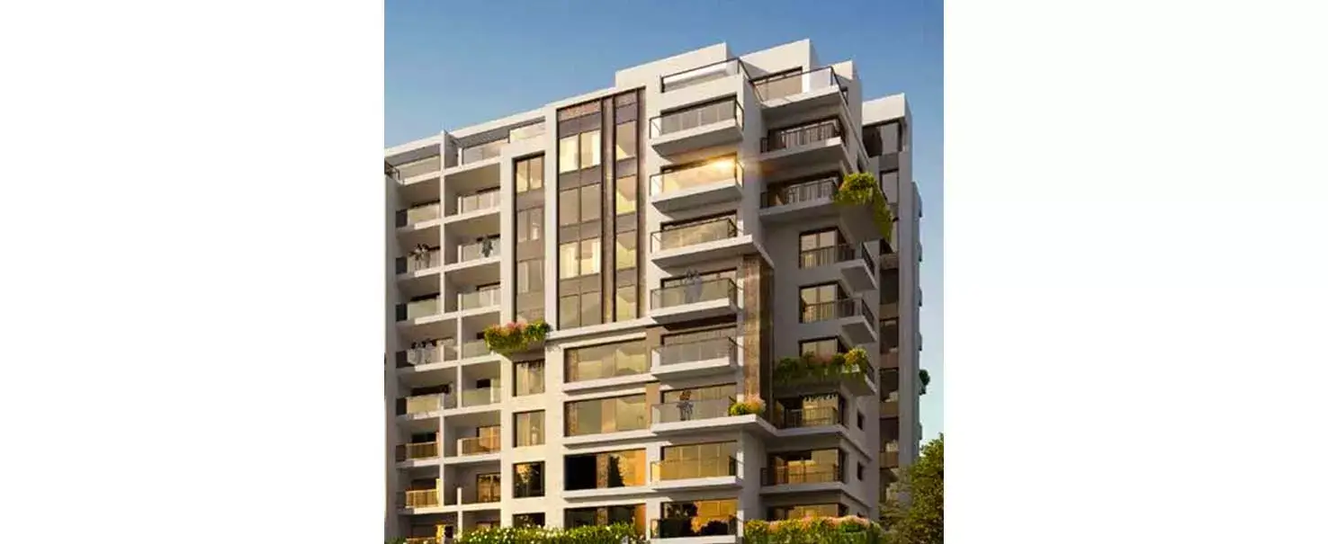 Zed Project | Apartment