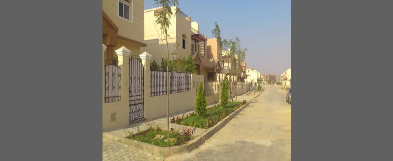 Dream Land | Townhouse