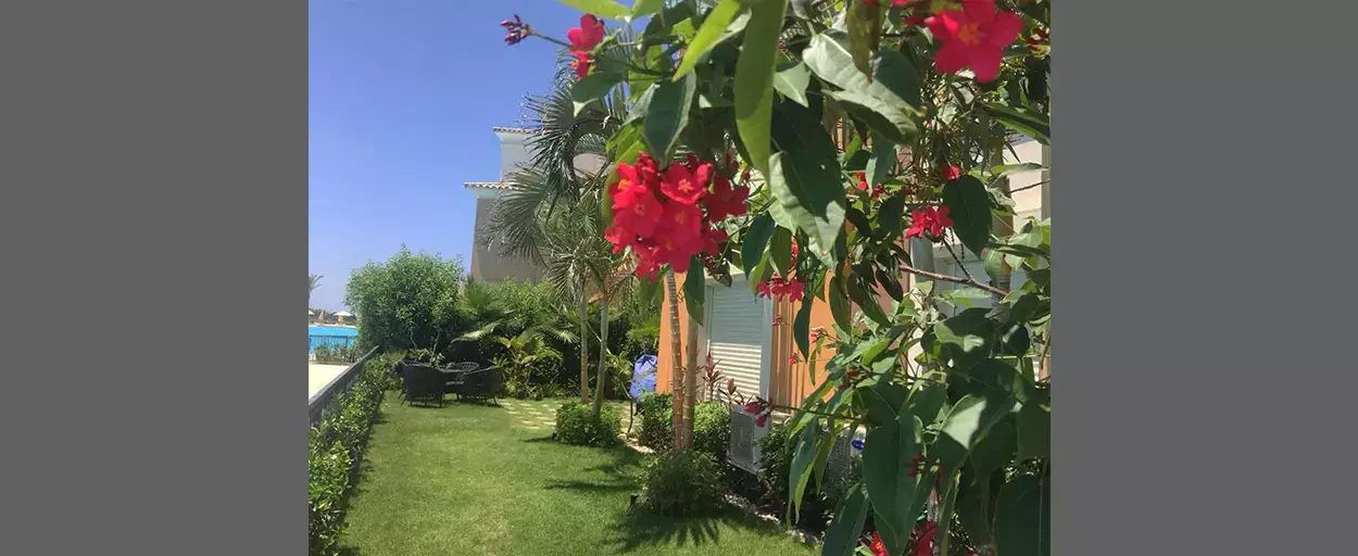 Marassi | شاليه