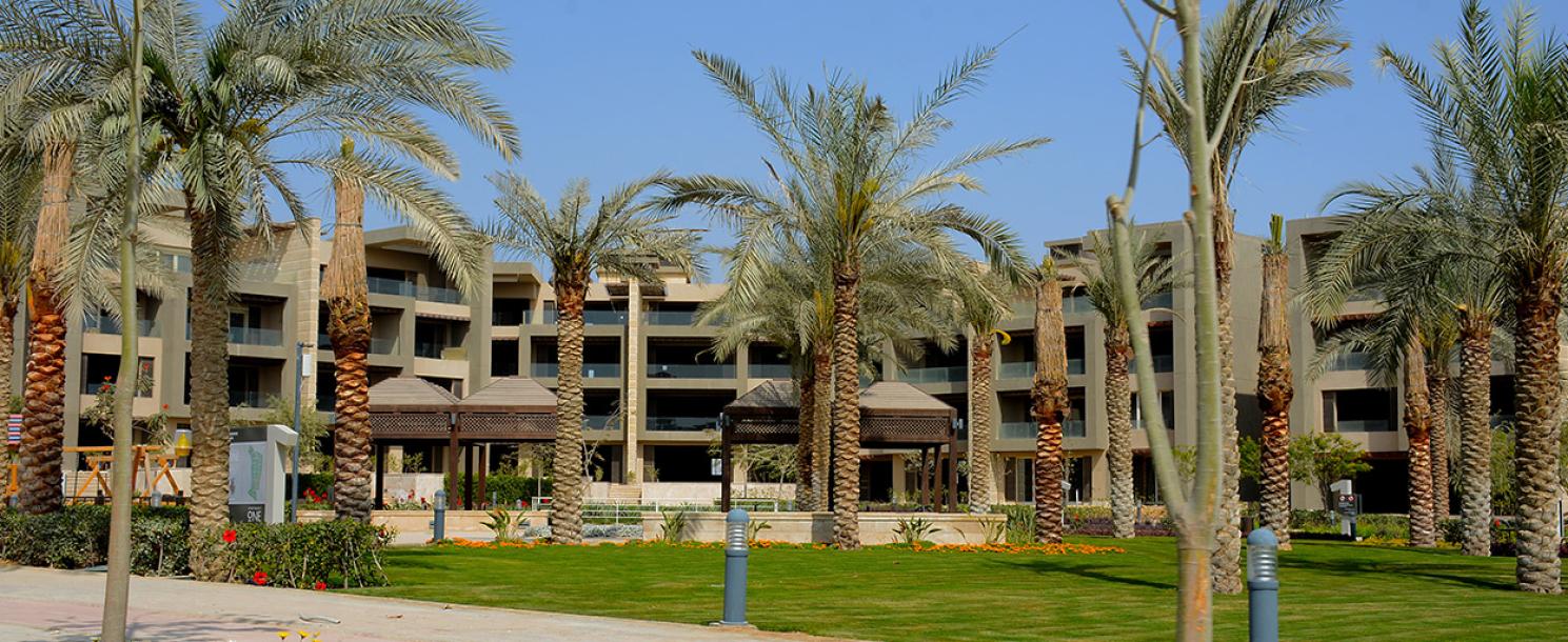 New Giza | Apartment