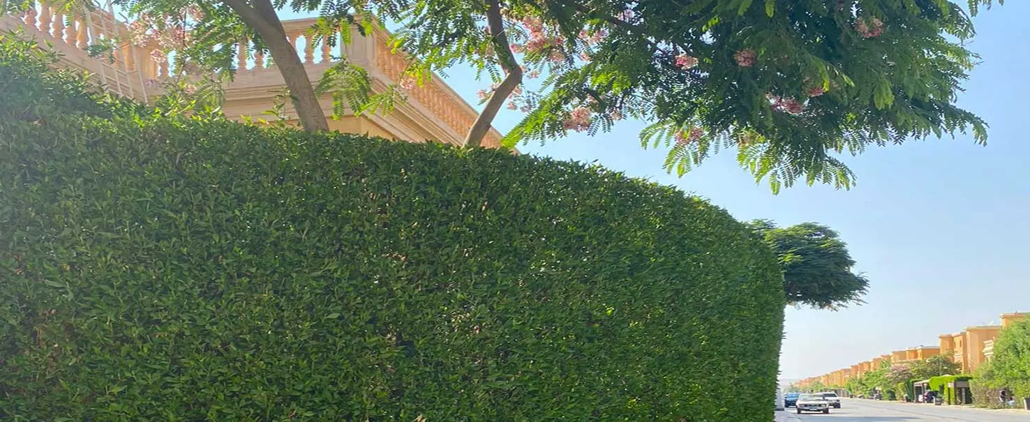  | Villa