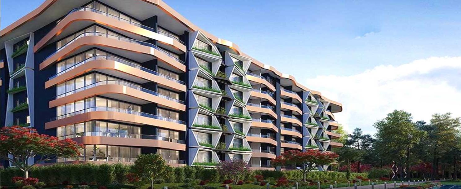Midtown Condo Residential | Apartment
