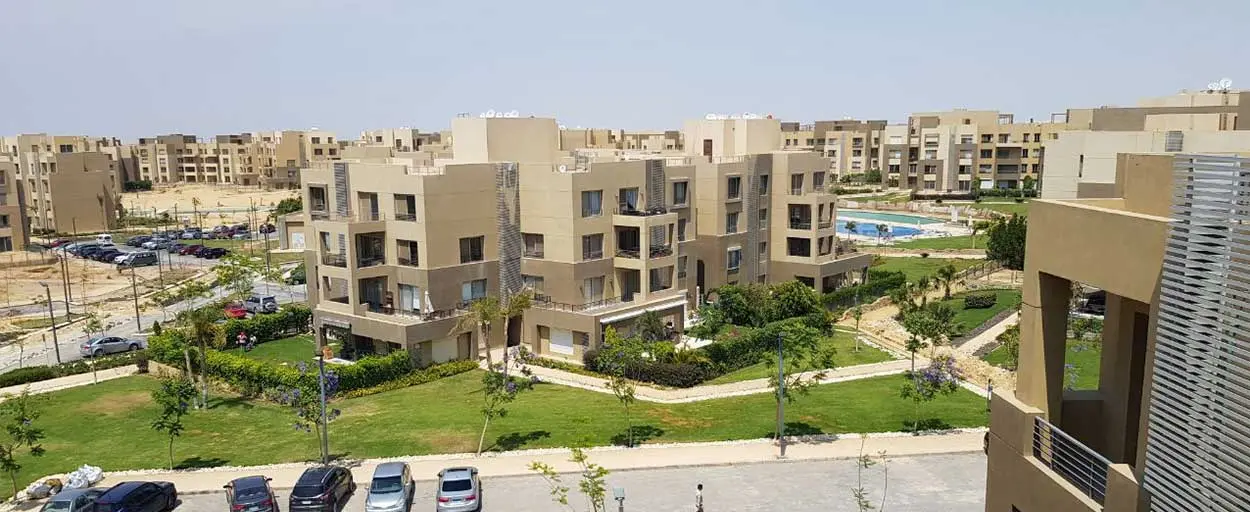 Palm Parks | Penthouse